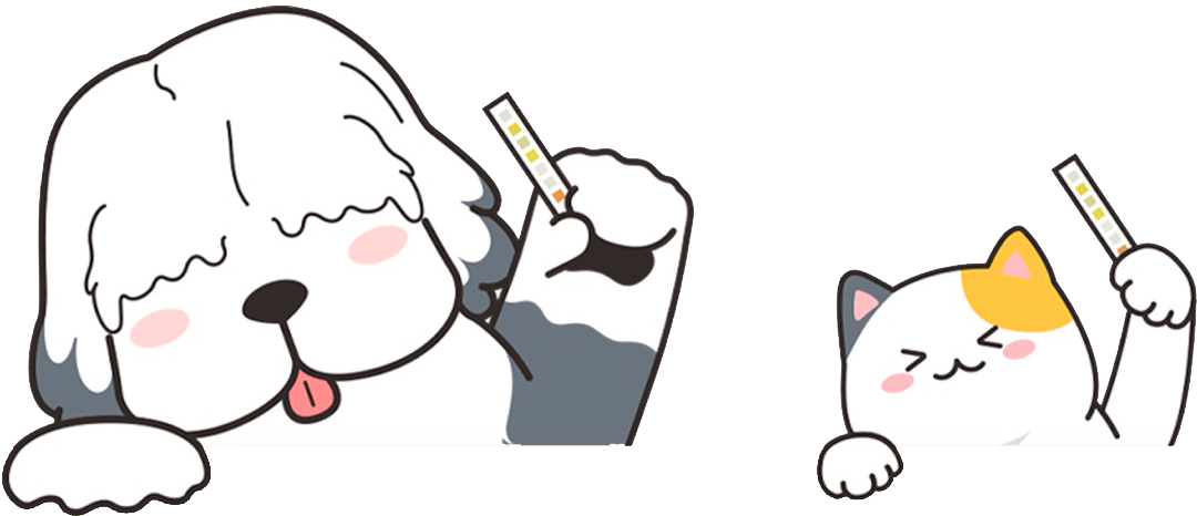 nabi and bori